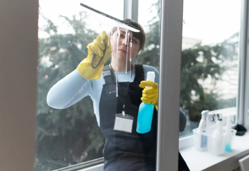 Nettoyage de vitres intérieures et extérieures à Placé